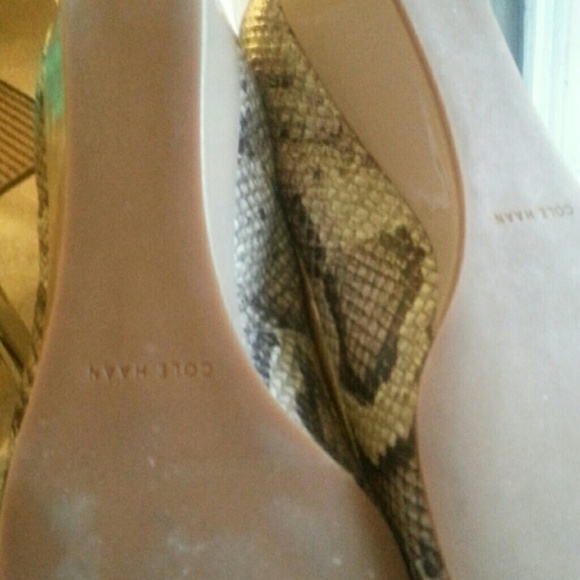 Shoes - Picture 7 of 7