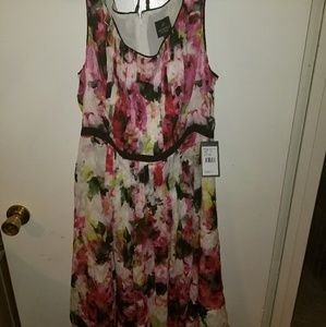 NWT Adrianna Papell Dress Gorgeous
