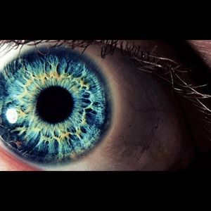 Meet your Posher, Jack