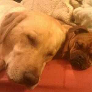 Meet your Posher, Teresa