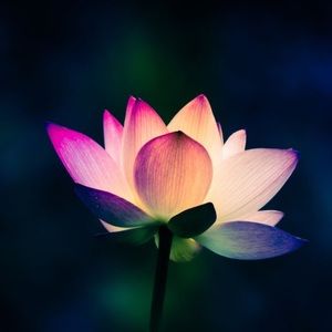 Meet your Posher, Sheila