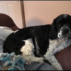 Meet your Posher, Molly