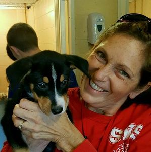 Meet your Posher, Krean