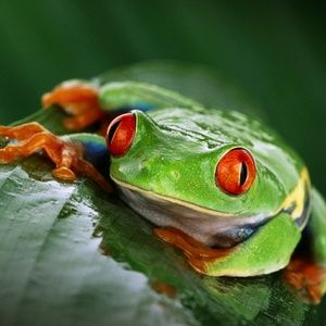 Meet your Posher, Kari