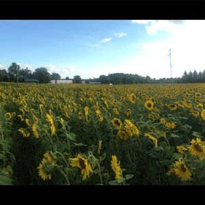 Meet your Posher, Rita