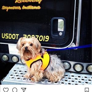 Meet your Posher, Dalona