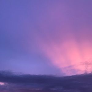 Meet your Posher, Casey