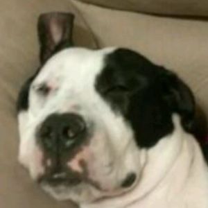 Meet your Posher, Erick