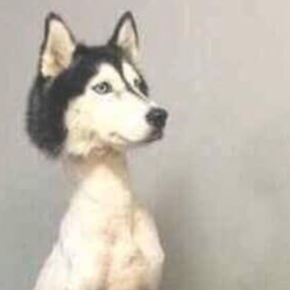 Meet your Posher, Matt