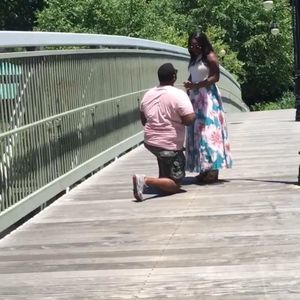 Meet your Posher, Dee dee