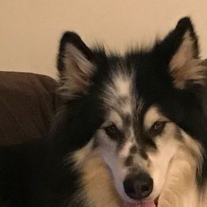 Meet your Posher, Leanne