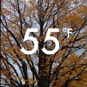 Meet your Posher, Shane