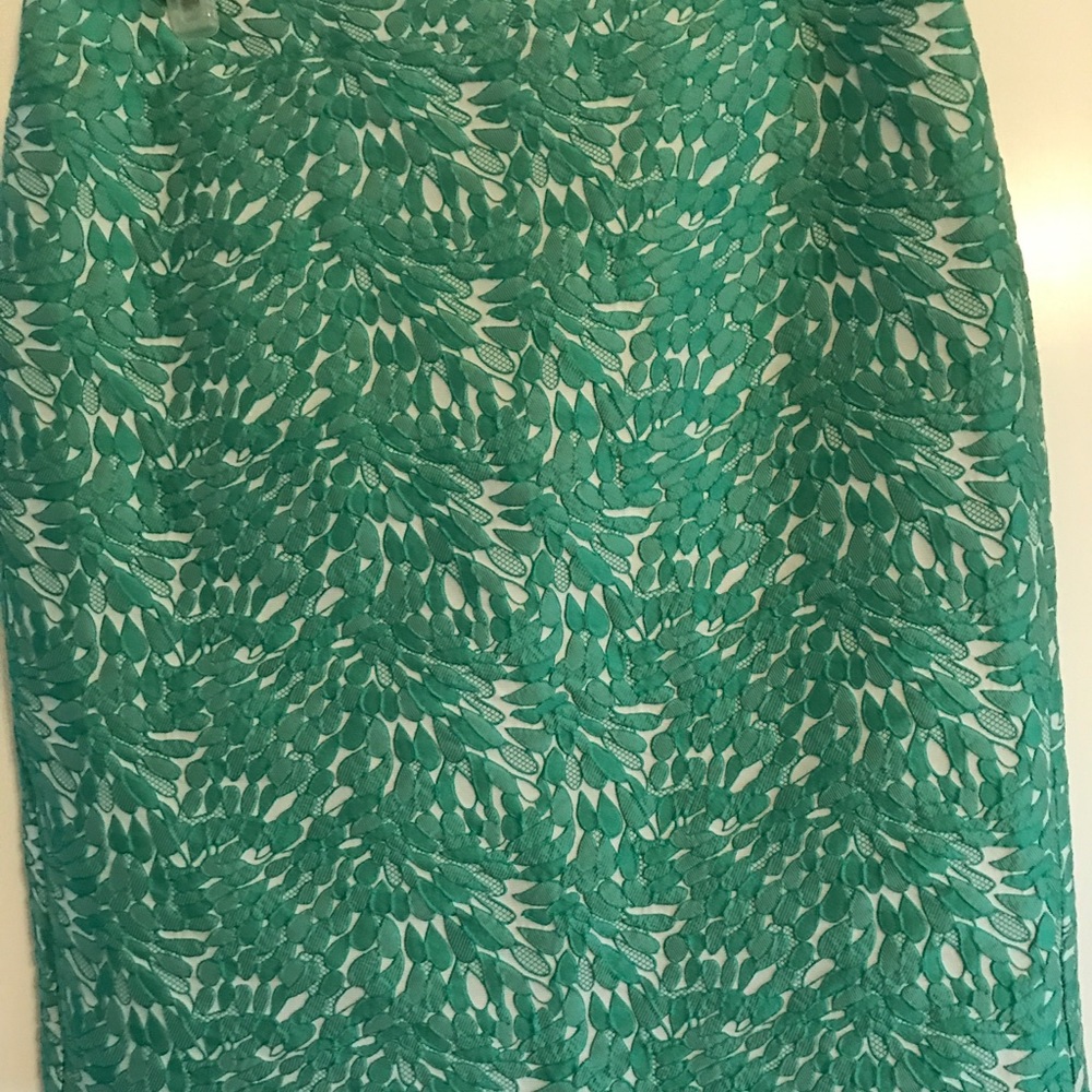 Pencil mint green embroidered skirt