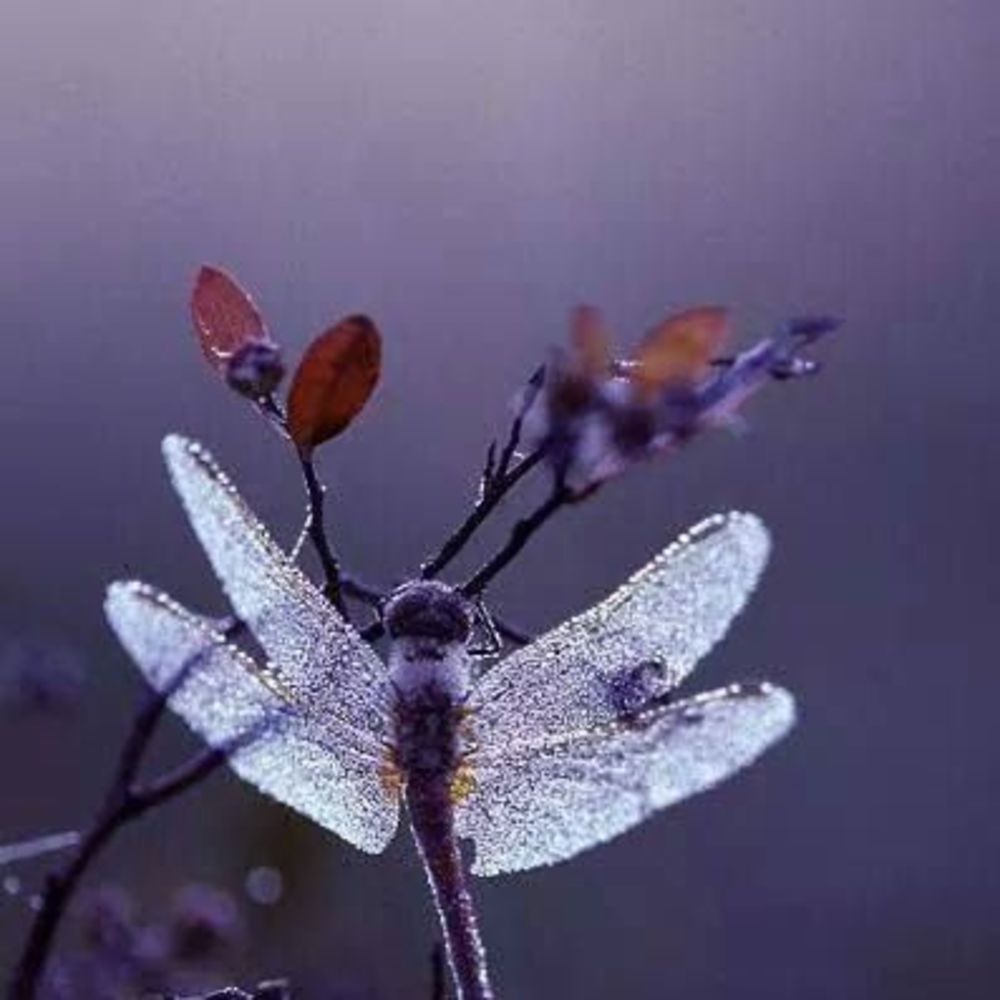 Meet your Posher, Margaret