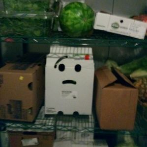 Meet your Posher, Susan