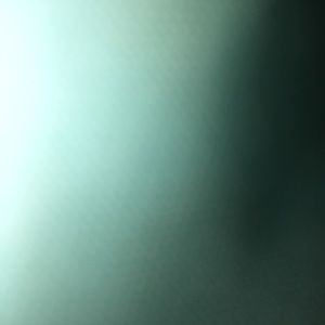 Meet your Posher, Alisha