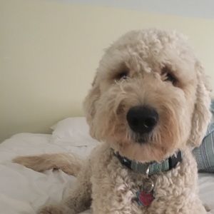 Meet your Posher, Eva