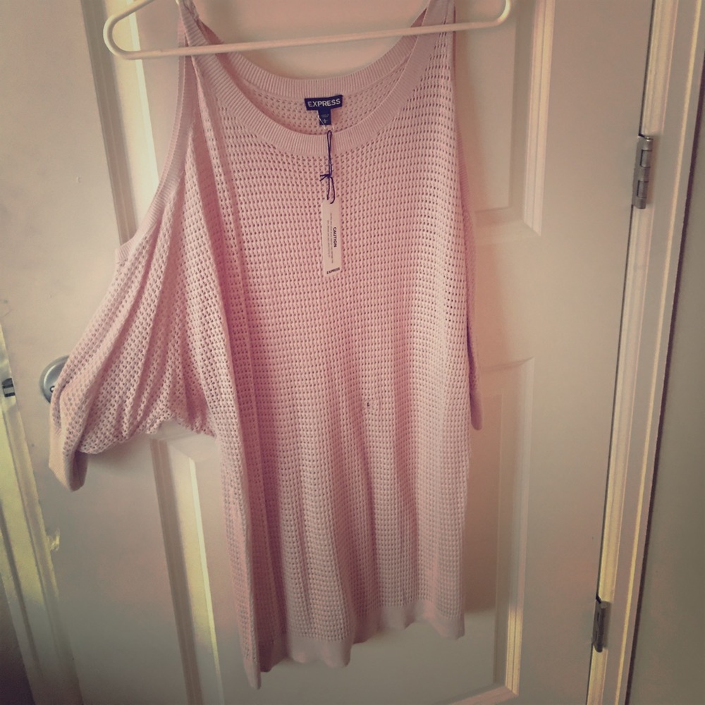 Express rose sweater