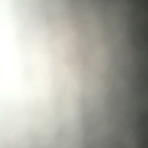 Meet your Posher, Jackson