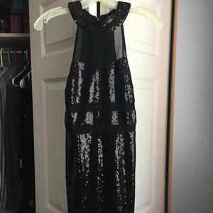 Fitted Sequin Dress