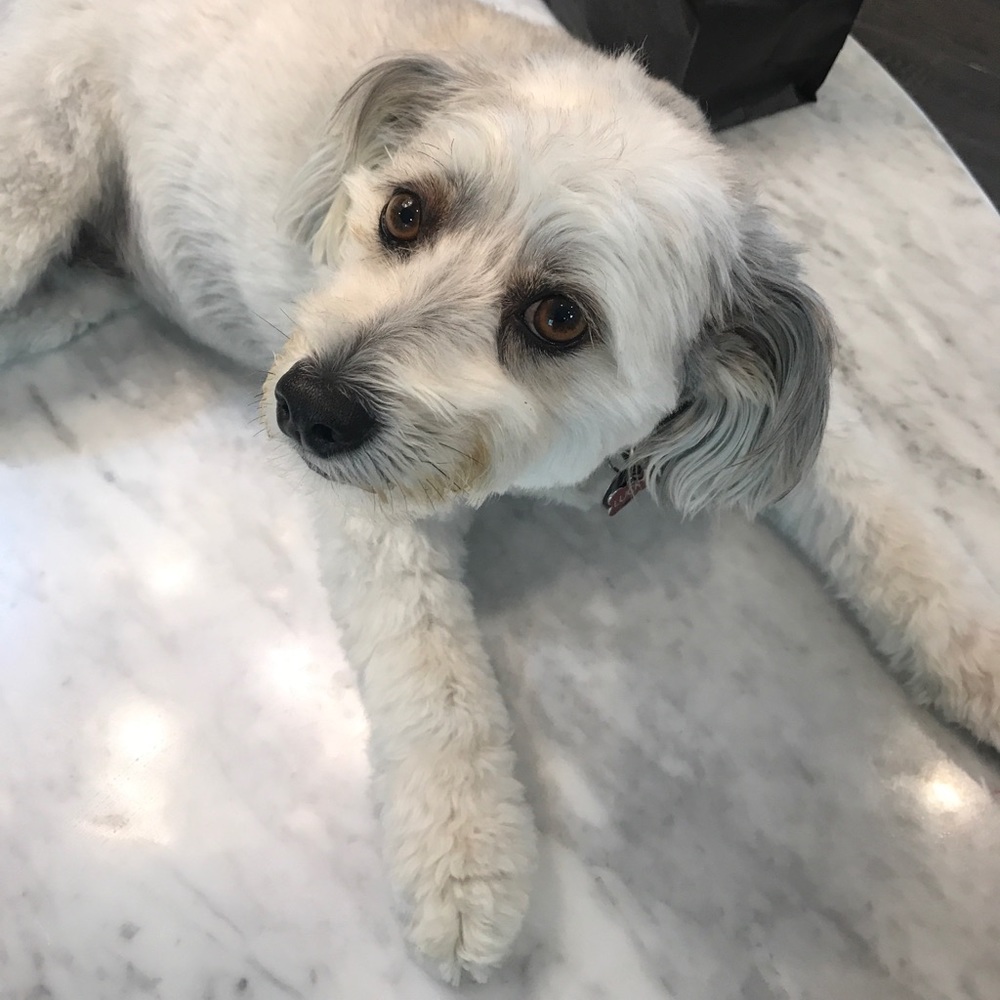 Meet your Posher, Kerry