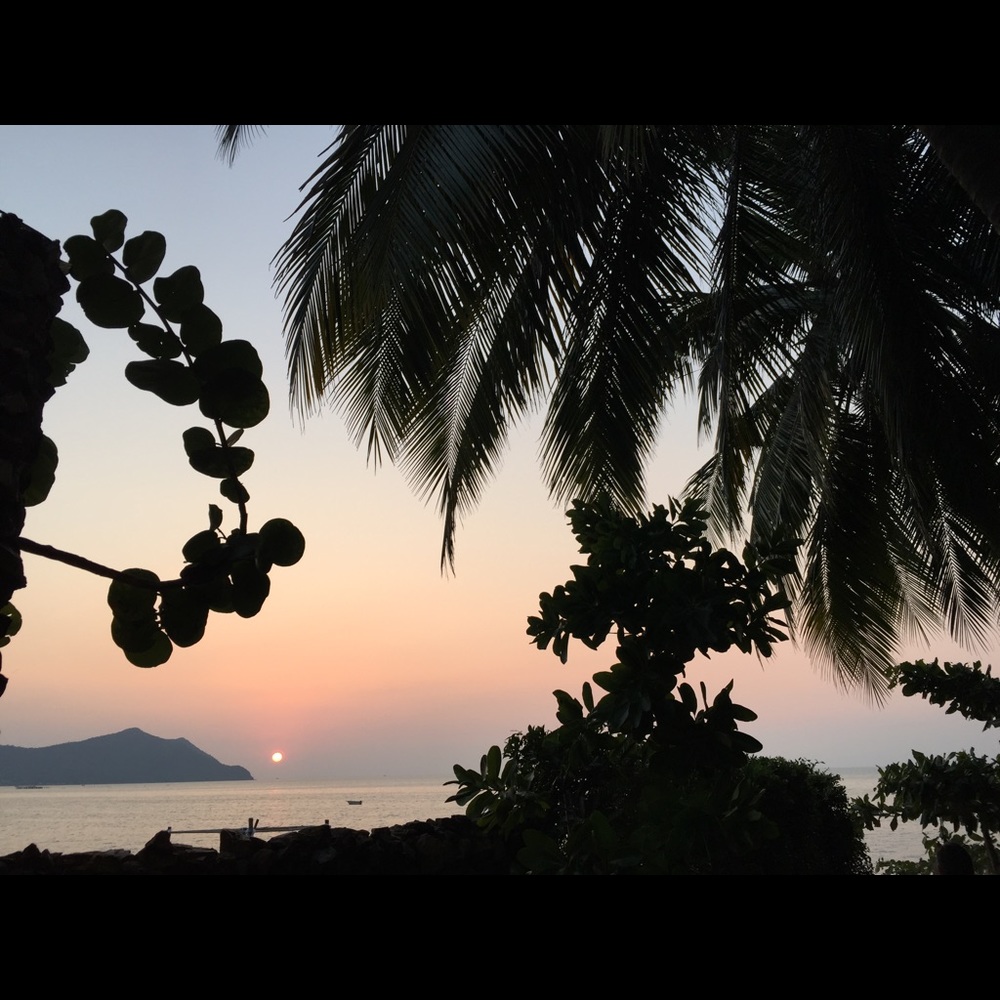 Meet your Posher, Pip