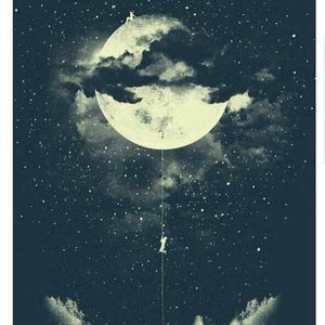 Meet your Posher, Bruce