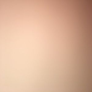 Meet your Posher, Audrey