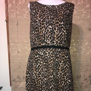 Leopard Loft 16 Pencil Dress!