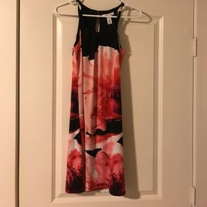 NWT WHBM Dress with pink floral design; size XS