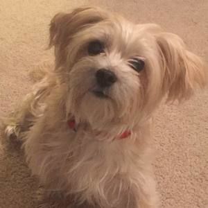 Meet your Posher, Diane caffey