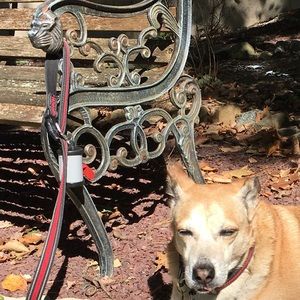 Meet your Posher, Erica