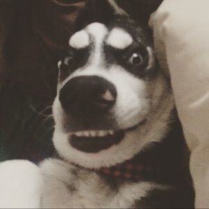 Meet your Posher, Danielle