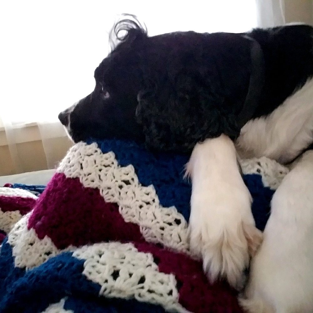 Meet your Posher, Anna