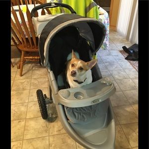 Meet your Posher, Ray