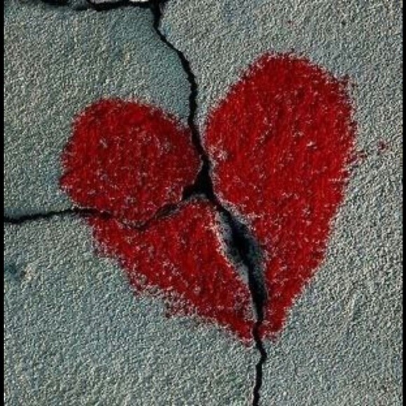 Meet your Posher, Kitty - Picture 2 of 2