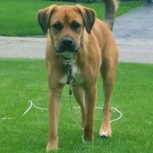 Meet your Posher, Jenna