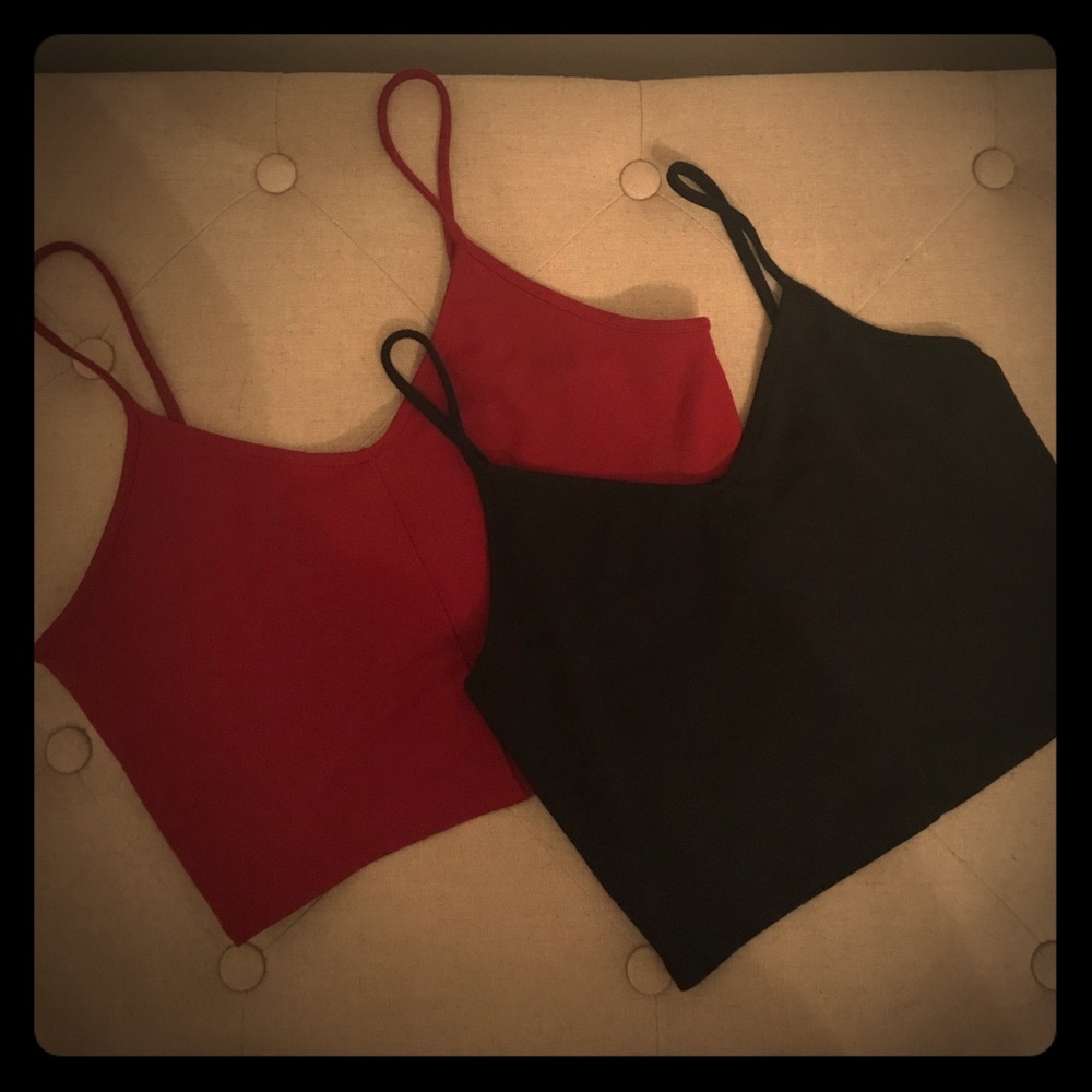 2 Crop Tops Sz M