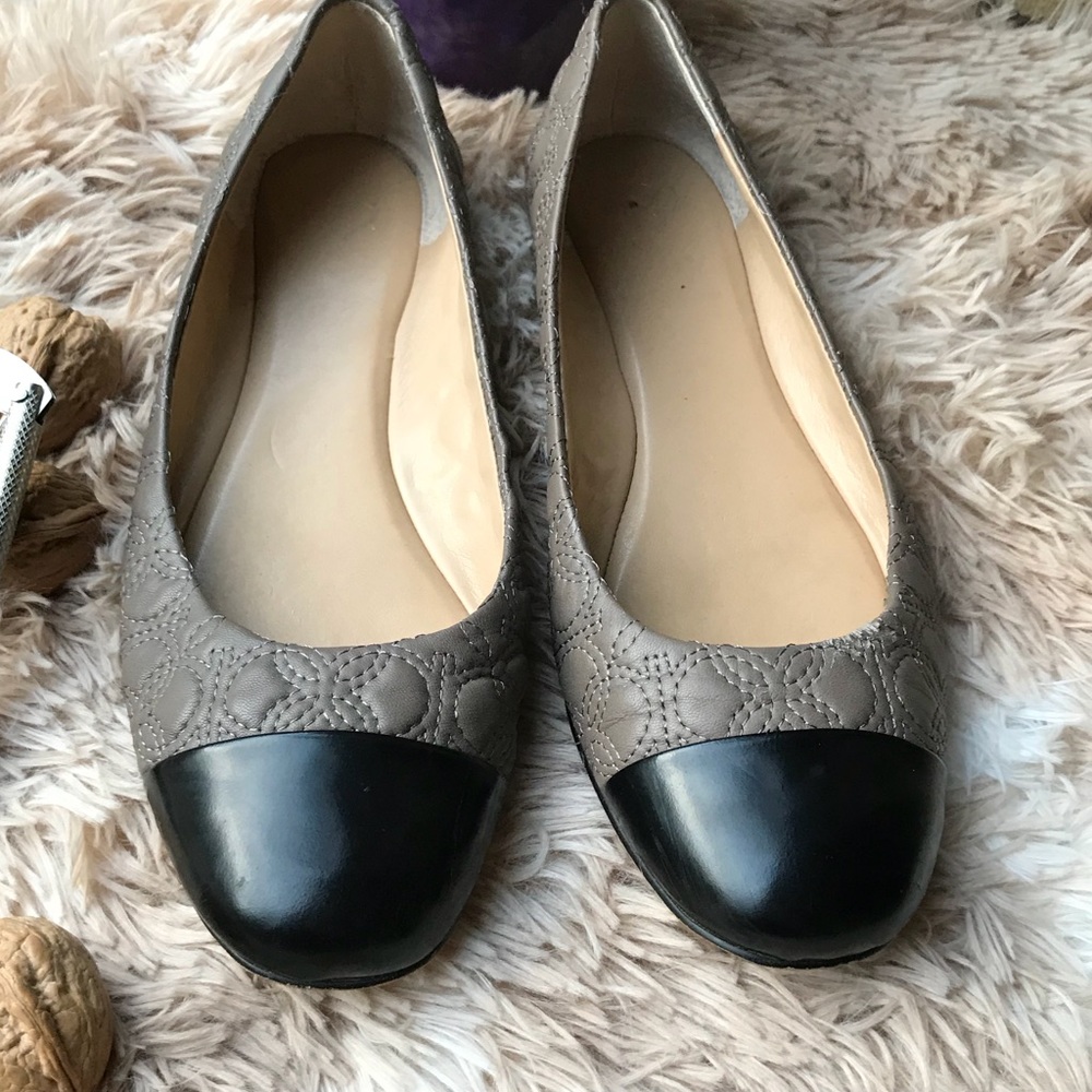 Taylor Classic Flat