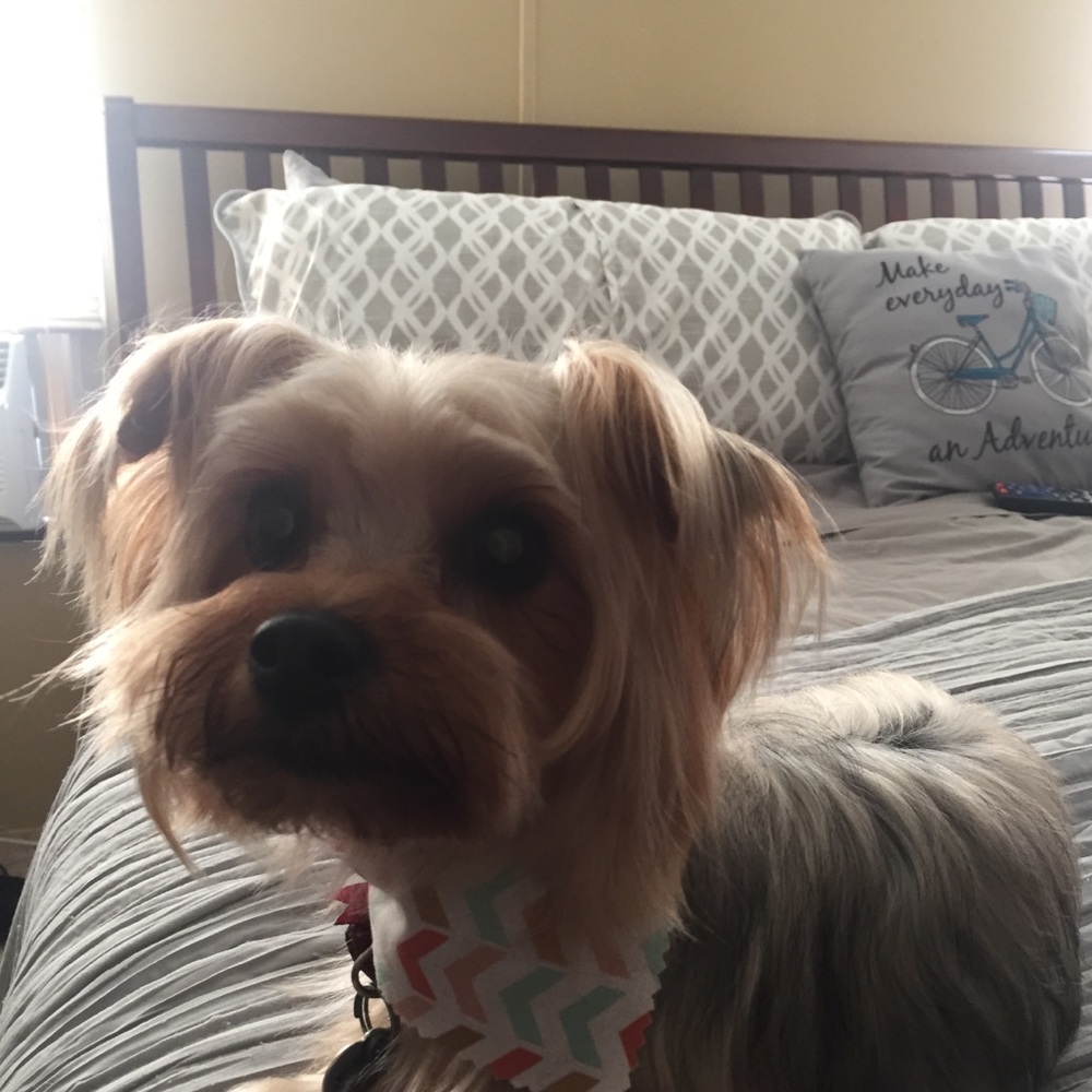 Meet your Posher, Stacy