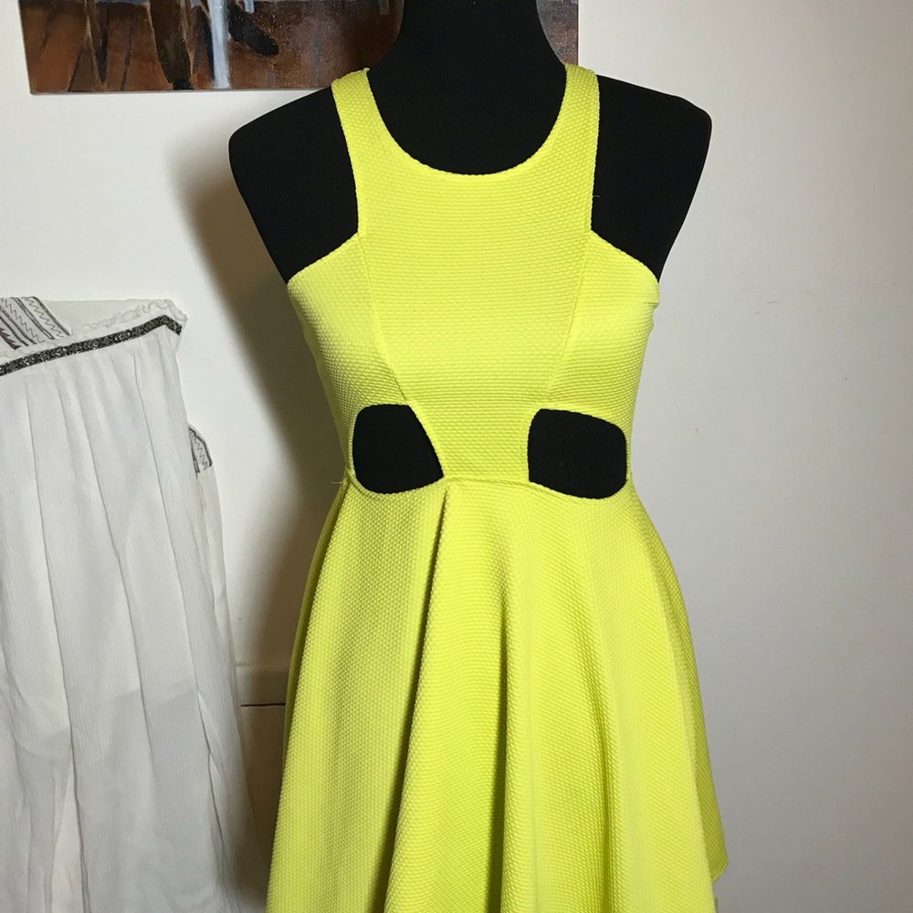Skater Dress