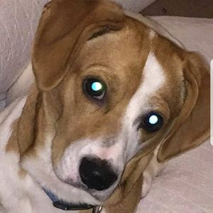 Meet your Posher, Trista