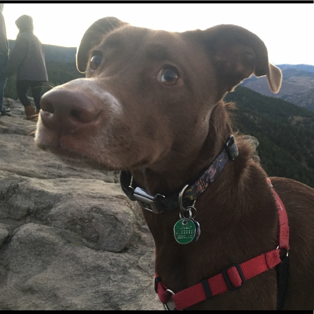 Meet your Posher, Elle