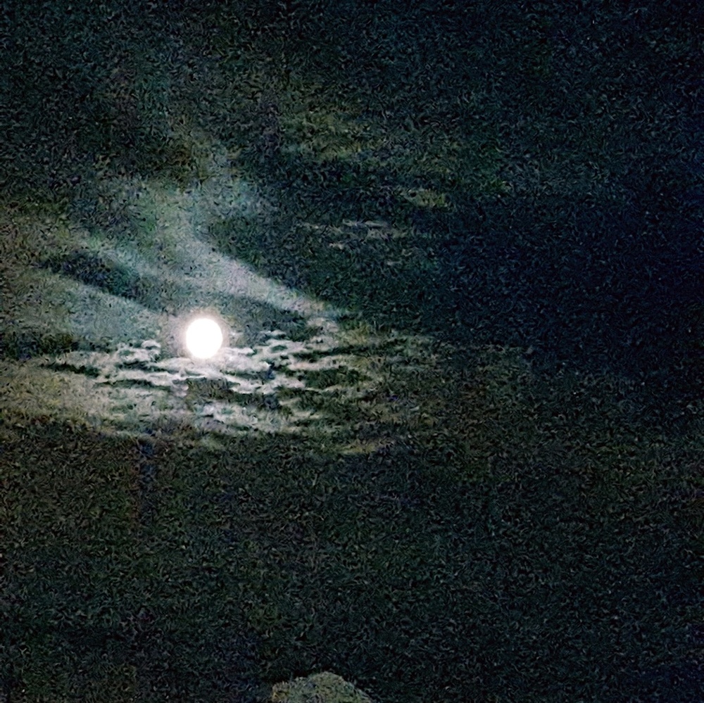 Meet your Posher, Joanne