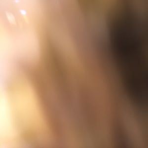 Meet your Posher, Gerrond