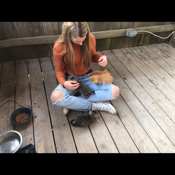 Meet your Posher, Caroline - Picture 1 of 1