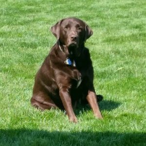 Meet your Posher, Sally