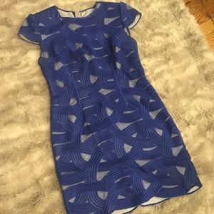 Robert Rodriguez royal blue mini