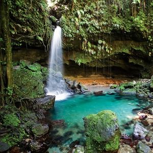 Meet your Posher, Bella