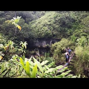 Meet your Posher, Robyn